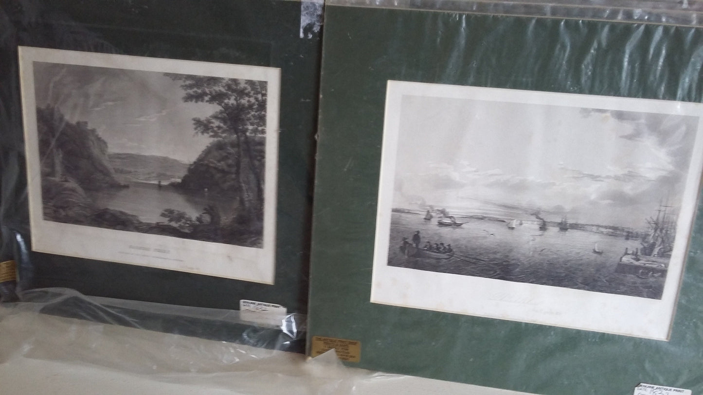 12 Vintage North American Prints Architecture Buildings Lake River Water Bridge Engravings Colour incl New York Philadelphia