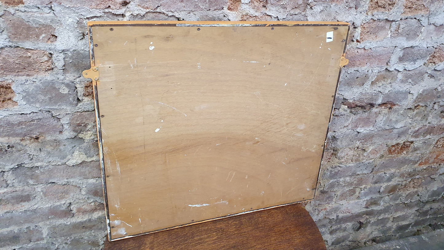 Funky 1960’s Shaped Retro Mirror in Annie Sloan Barcelona Orange Stag