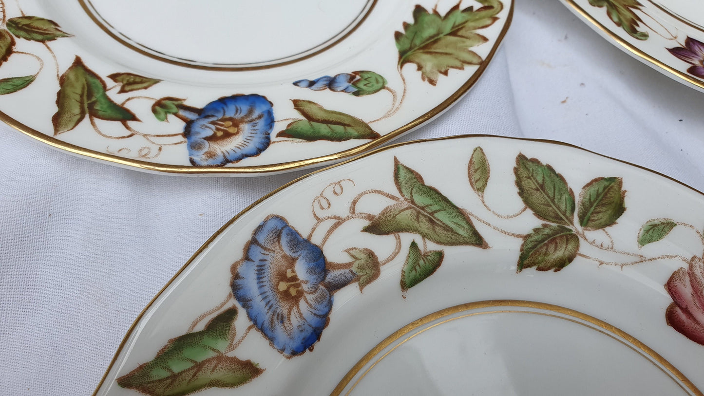 Vintage Part Dinner Service Royal Worcester Virginia