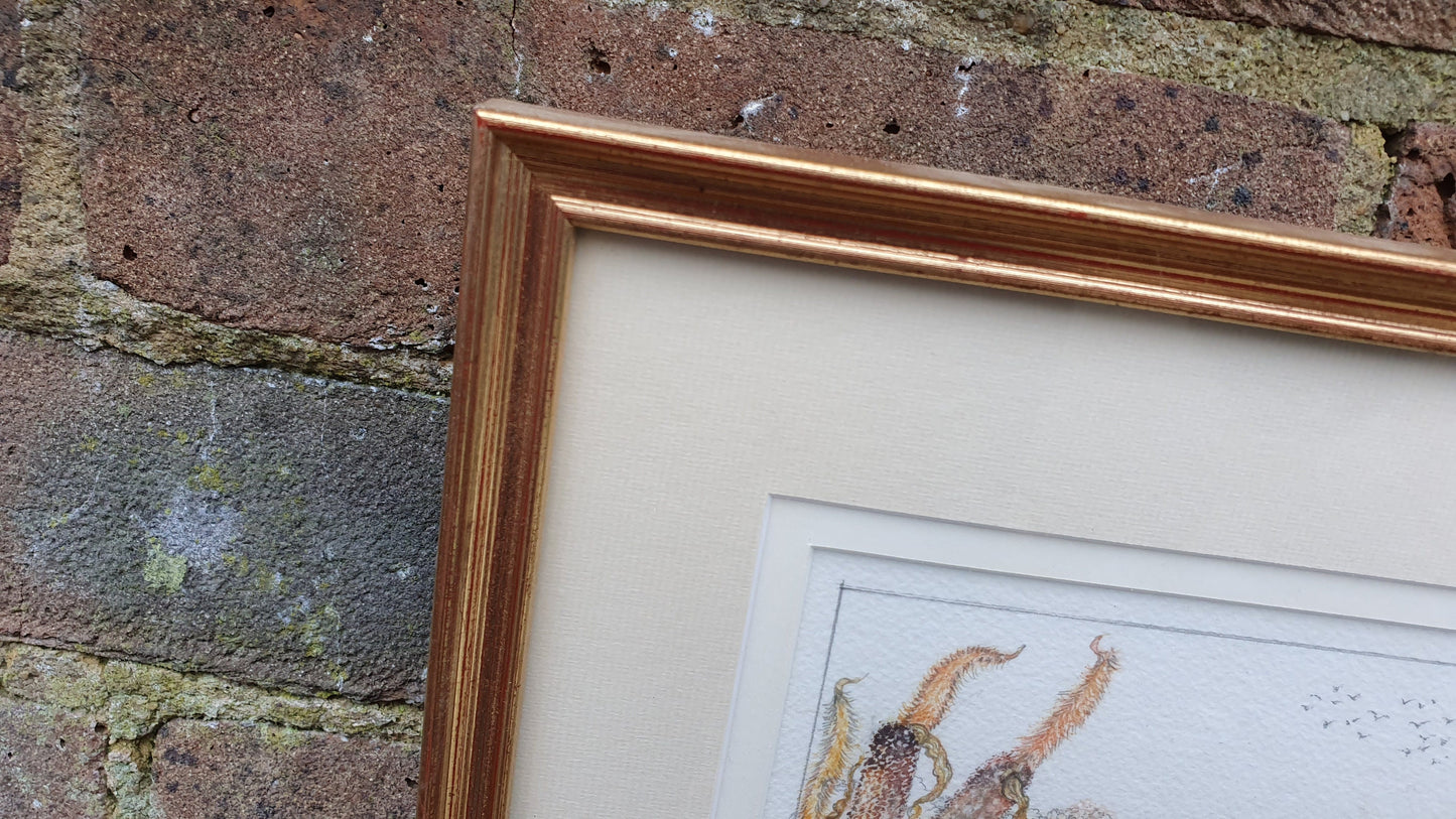 Delightful Ducks on a Pond Illustration Signed Vintage Original Artwork British Wildlife Flowers Framed