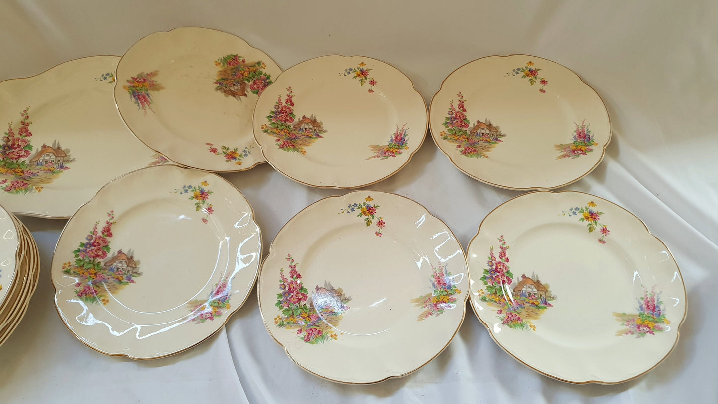 Charming ‘Pareek’ Vintage Retro Cottage Flowers Floral Dinner Service Johnson Brothers Hand Painted