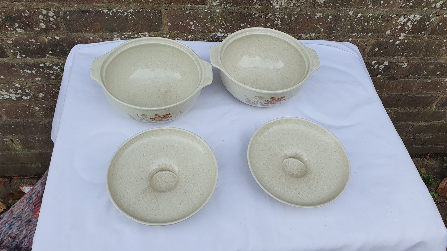 Large Quality Retro Tea and Dinner Service Royal Albert Summer Fantasy c1972