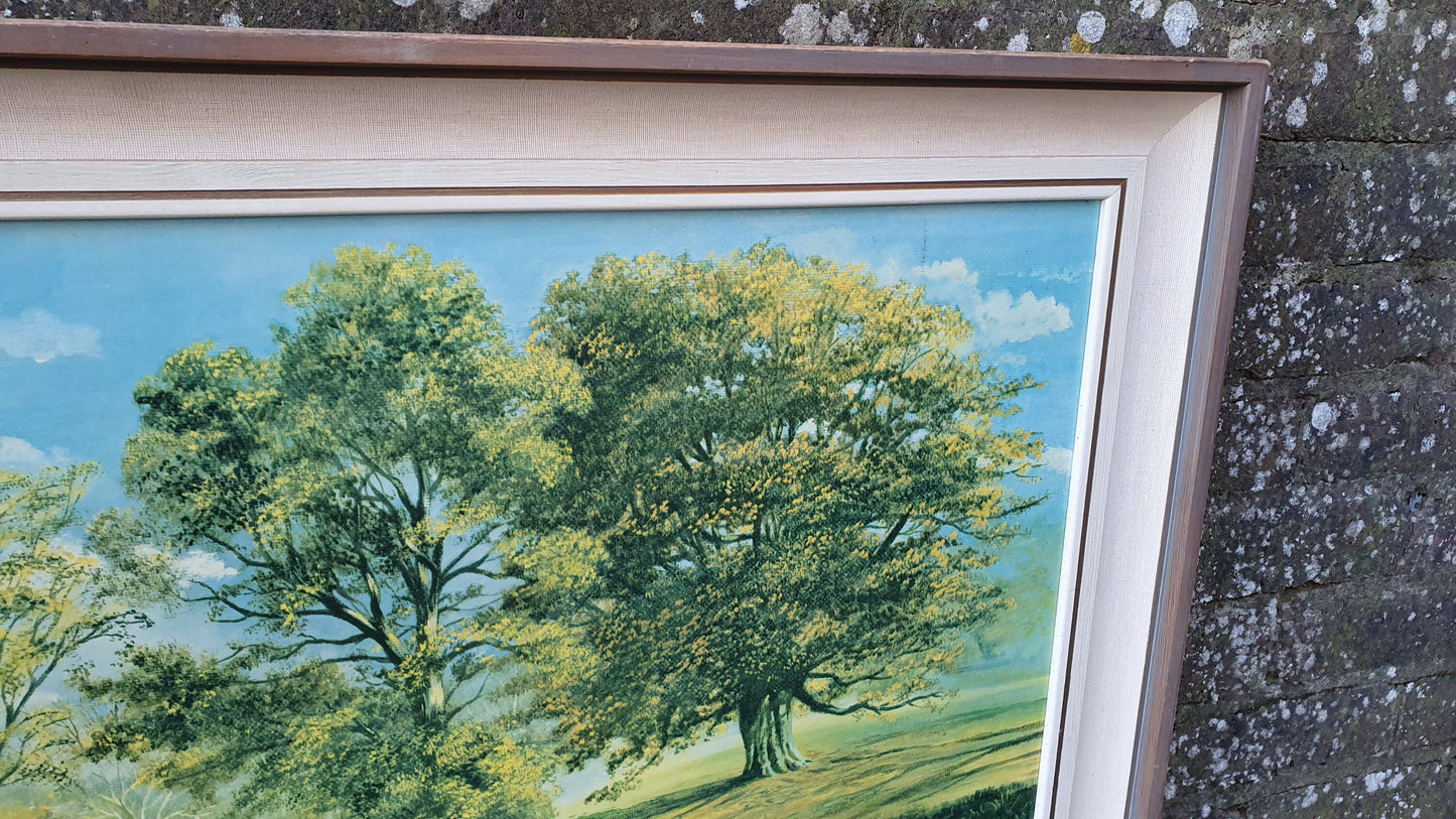 Splendid 1970’s E Kruger Print Sunny Forest Gentle Waterfalls European Landscape.