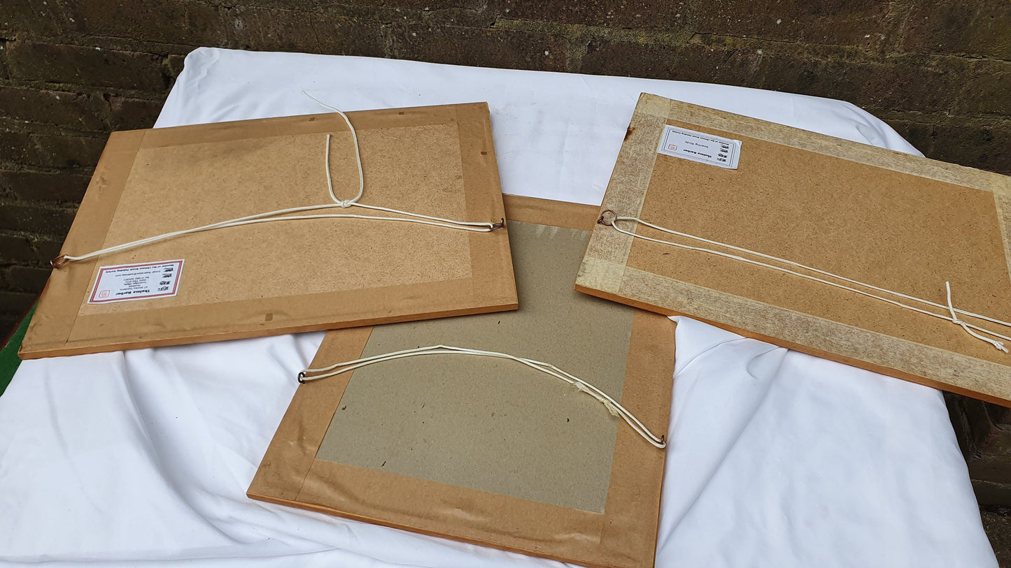 Three Large Vintage Original Chinese Brush Painting Watercolours Panda Bamboo Effect Wooden Frames Panda