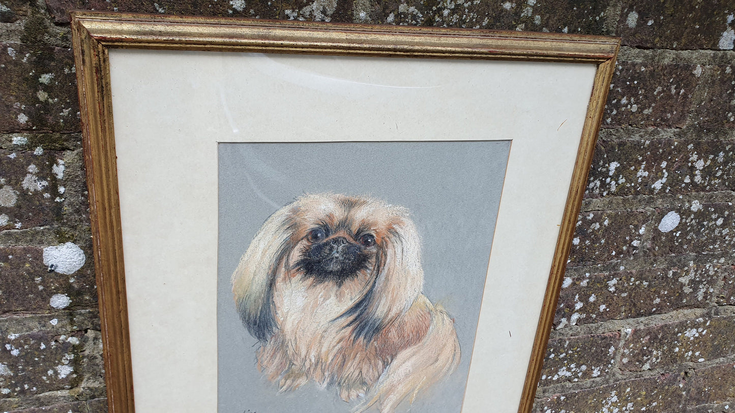 Large Original Pekinese Dog Pastel Picture of My Loyal Friend Glazed Glass Frame
