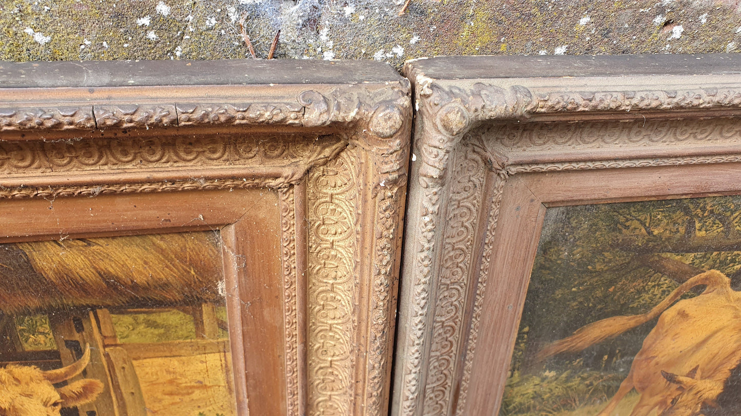 Large Magnificent Pair Rural Farm scenes on Canvas in gorgeous wooden frames - c1900 masterpieces? Cow Farm