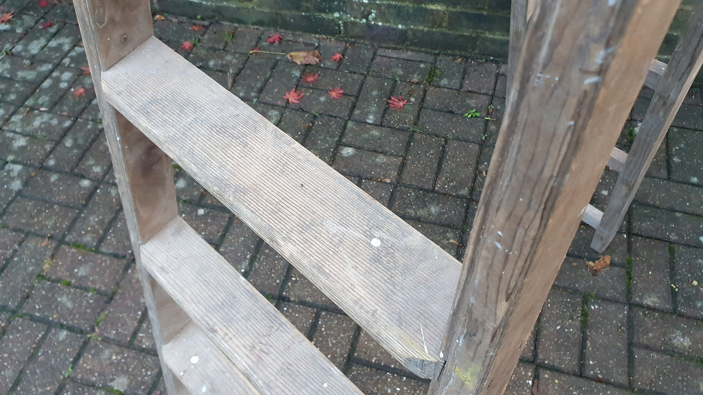 Massive Vintage Pine Step Ladder Also Extends Into Full Double Ladder Shop Display. 12 ft!