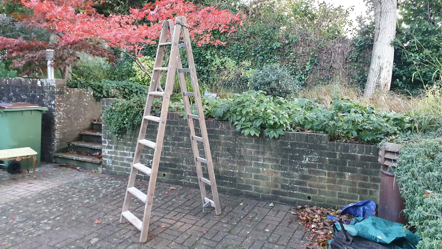 Massive Vintage Pine Step Ladder Also Extends Into Full Double Ladder Shop Display. 12 ft!