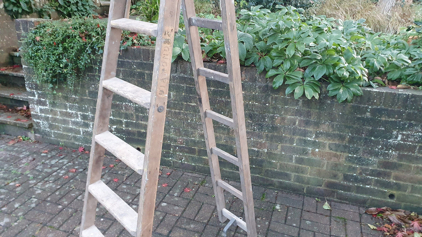Massive Vintage Pine Step Ladder Also Extends Into Full Double Ladder Shop Display. 12 ft!