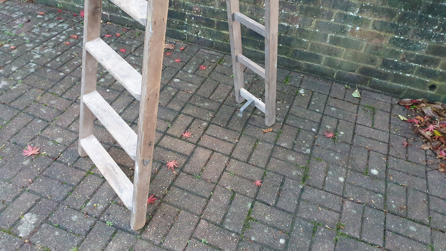 Massive Vintage Pine Step Ladder Also Extends Into Full Double Ladder Shop Display. 12 ft!
