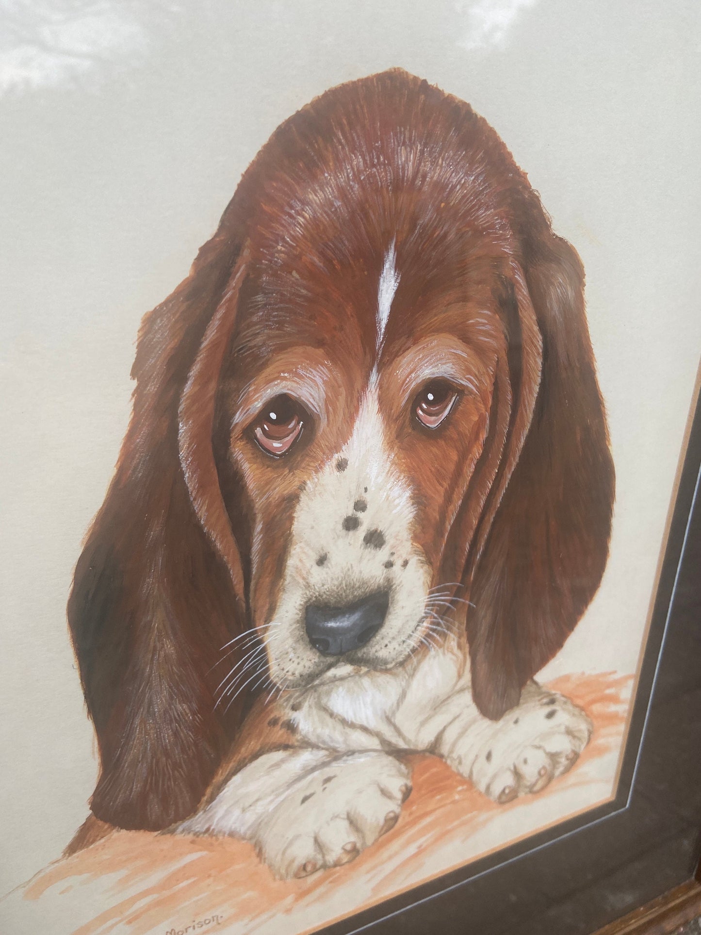 Original Vintage Basset Hound Puppy Dog Watercolour Portrait - "... Son" - Man / Women's Bestfriend, painted by M Morison