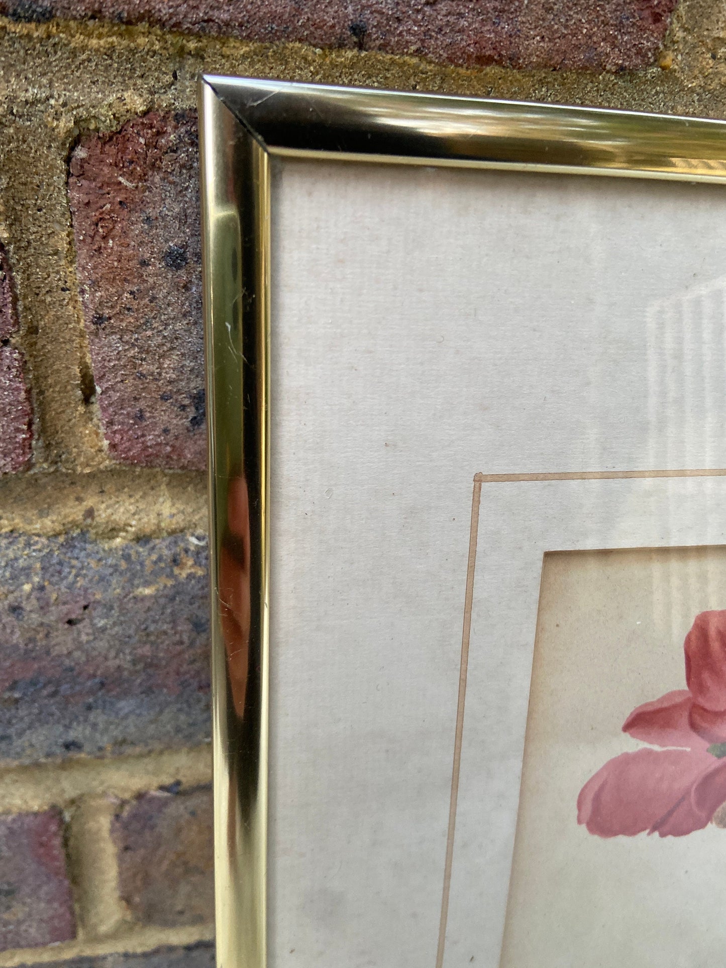 Begonia Winter Gem - vintage flower print in metallic frame, good medium size (32cm x 42cm)