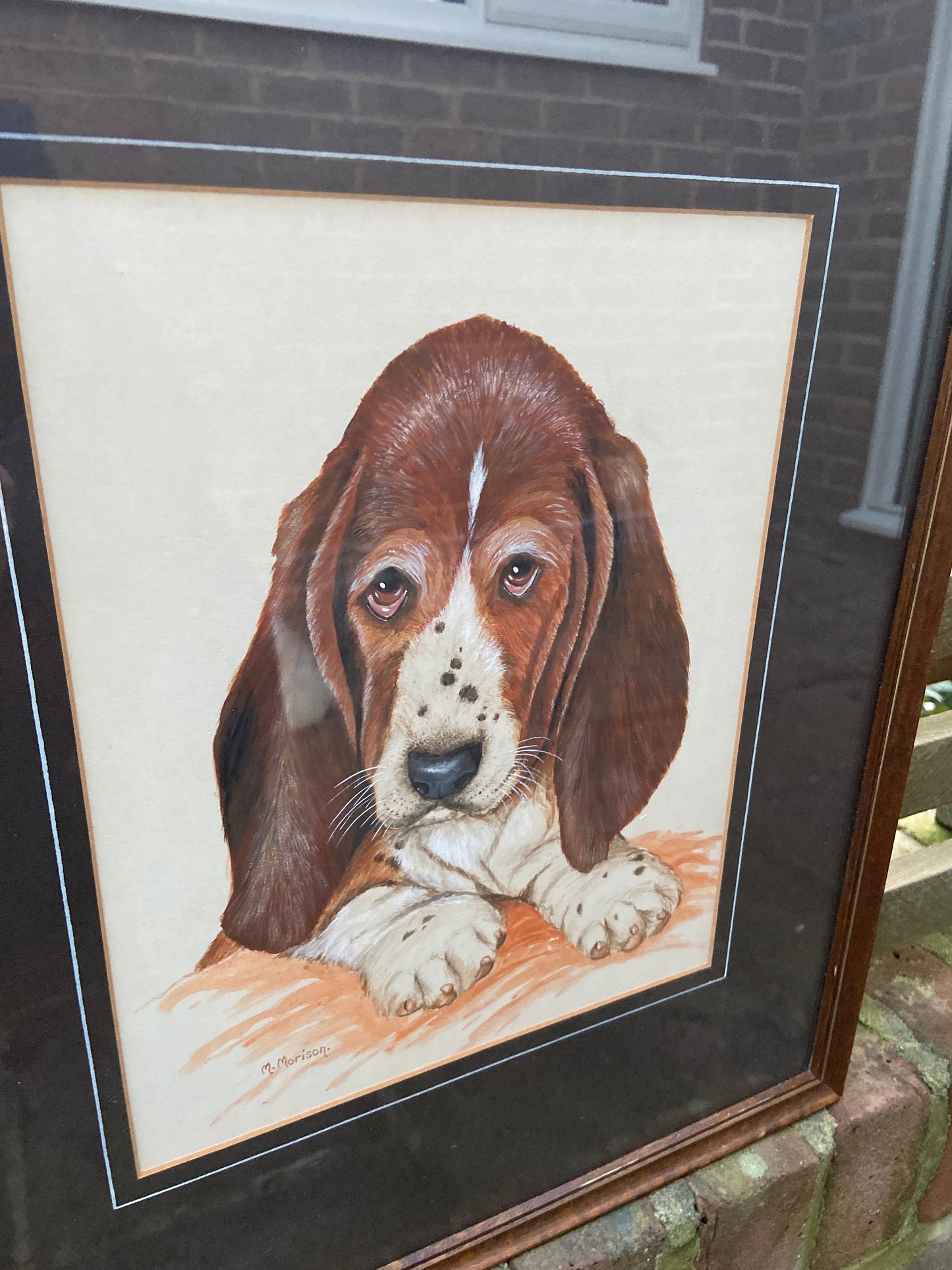 Original Vintage Basset Hound Puppy Dog Watercolour Portrait - "... Son" - Man / Women's Bestfriend, painted by M Morison