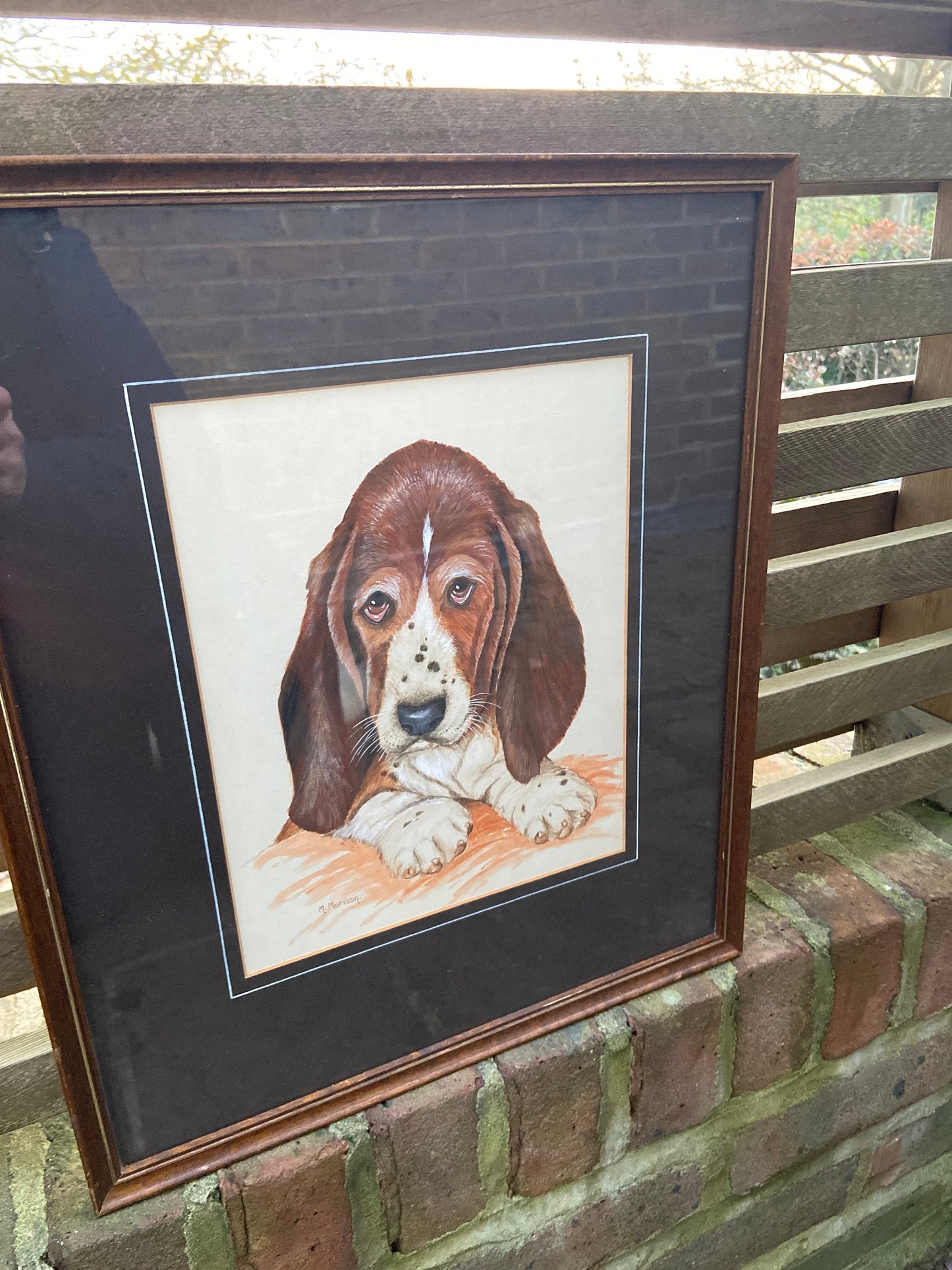 Original Vintage Basset Hound Puppy Dog Watercolour Portrait - "... Son" - Man / Women's Bestfriend, painted by M Morison