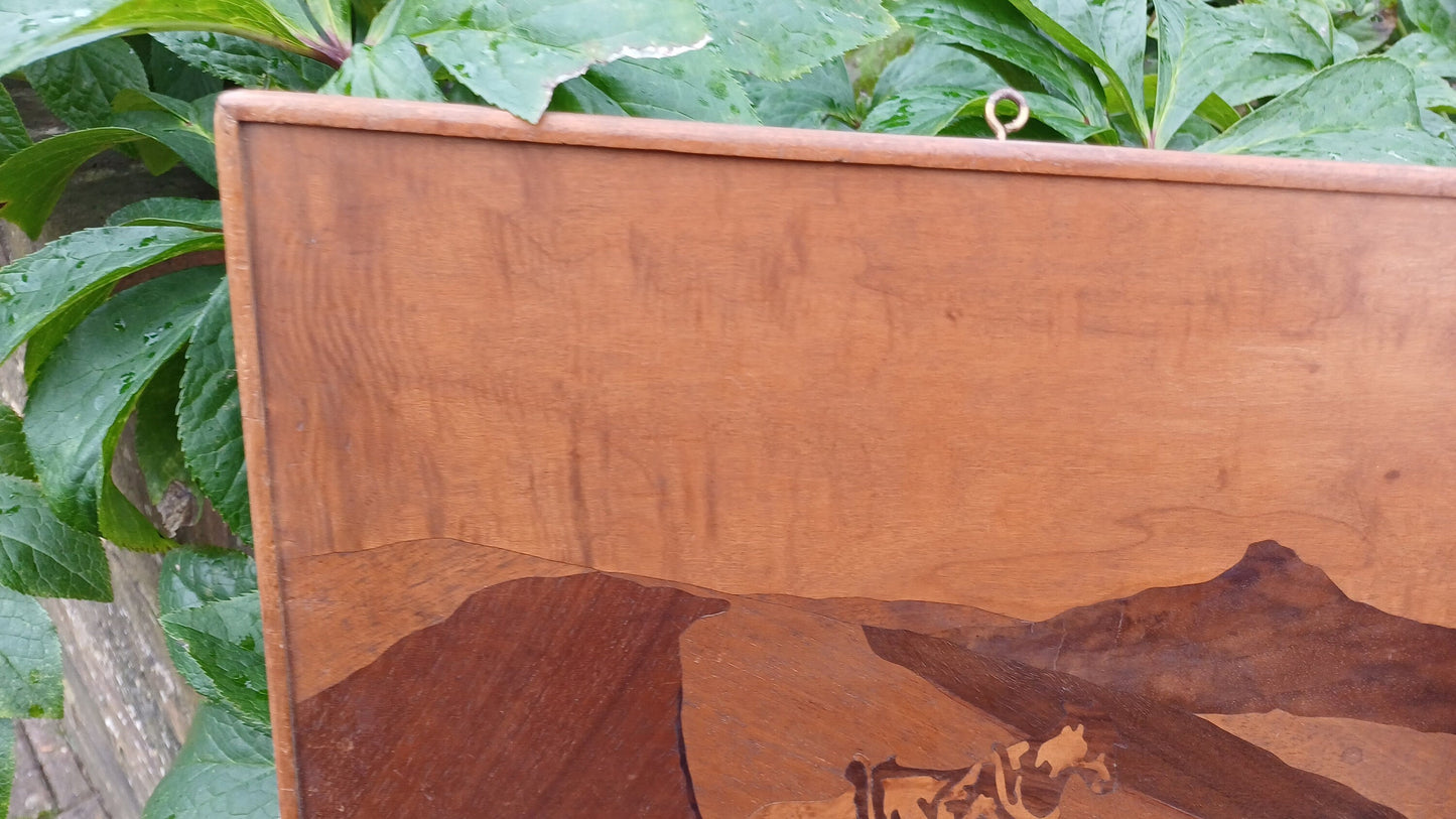 Marquetry Landscape - woodcraft - man and a plough - vintage - vgc (24cm x 31cm)