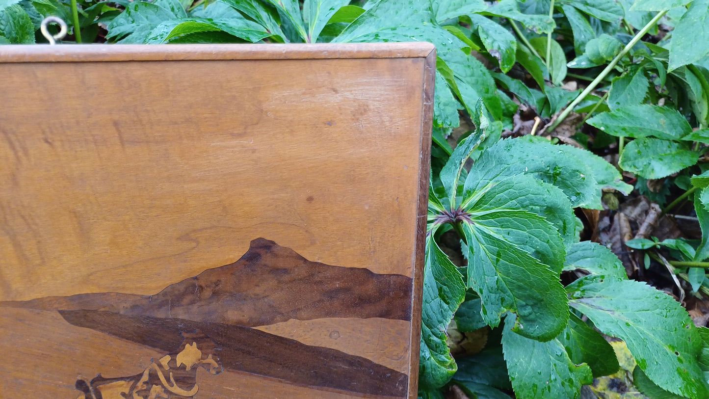 Marquetry Landscape - woodcraft - man and a plough - vintage - vgc (24cm x 31cm)