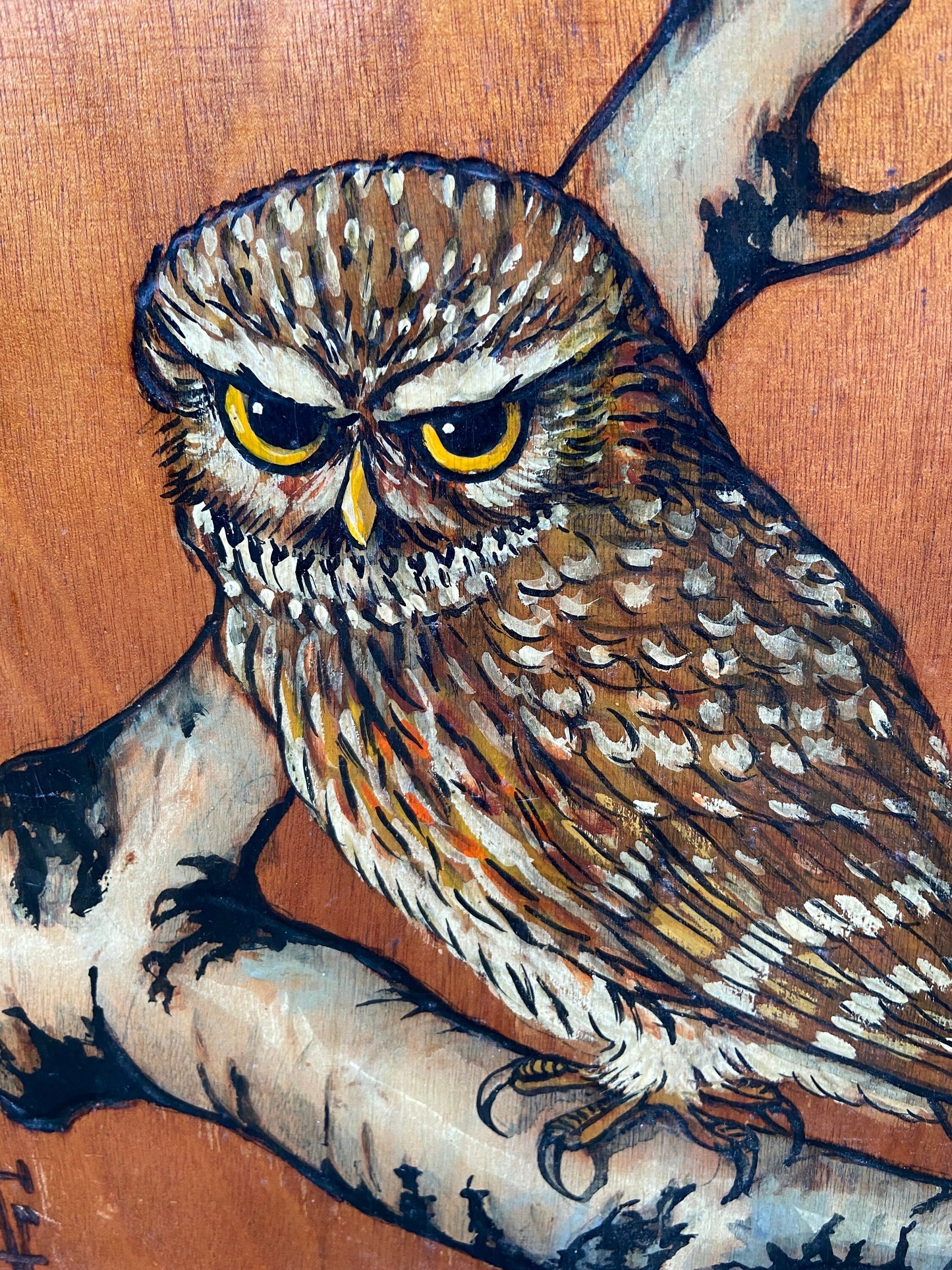 Two Vintage Blockwood Acrylic Paintings of Owls Portrait (Little Owls, Wildlife) - mixed media with pyrography (?) and acrylic paint