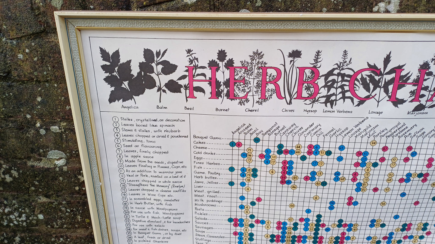 1960s Culinary Herb Chart - outstanding and useful - printed copy by H Dalton Clifford - very large 85.5cm x 62.5cm