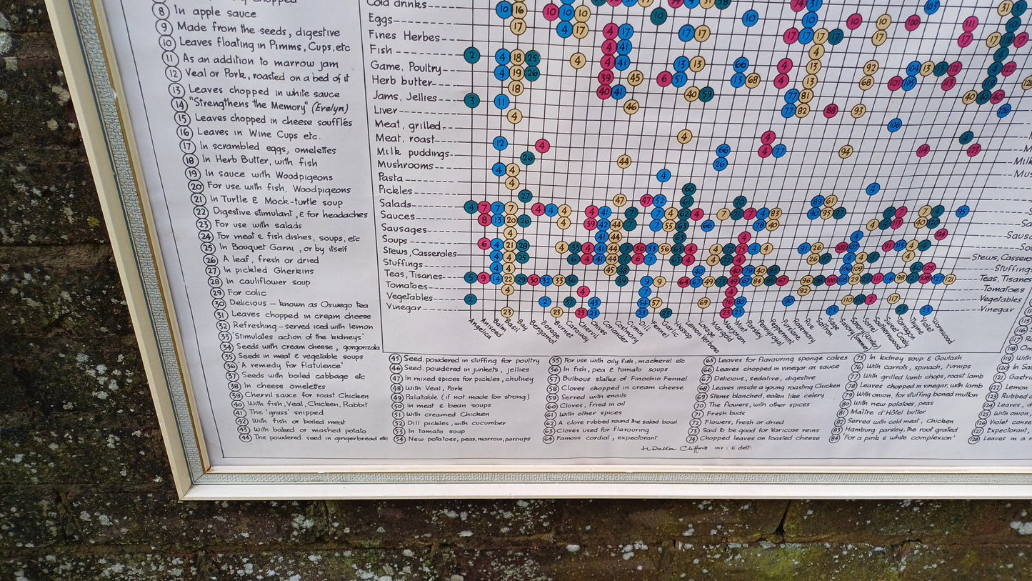 1960s Culinary Herb Chart - outstanding and useful - printed copy by H Dalton Clifford - very large 85.5cm x 62.5cm
