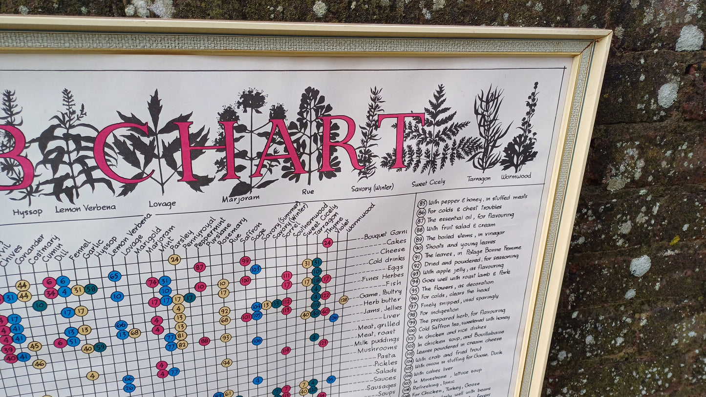 1960s Culinary Herb Chart - outstanding and useful - printed copy by H Dalton Clifford - very large 85.5cm x 62.5cm