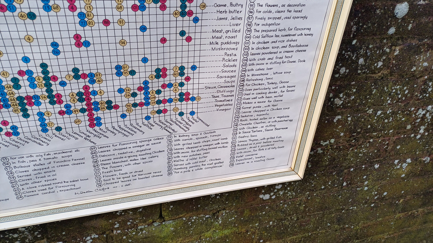 1960s Culinary Herb Chart - outstanding and useful - printed copy by H Dalton Clifford - very large 85.5cm x 62.5cm