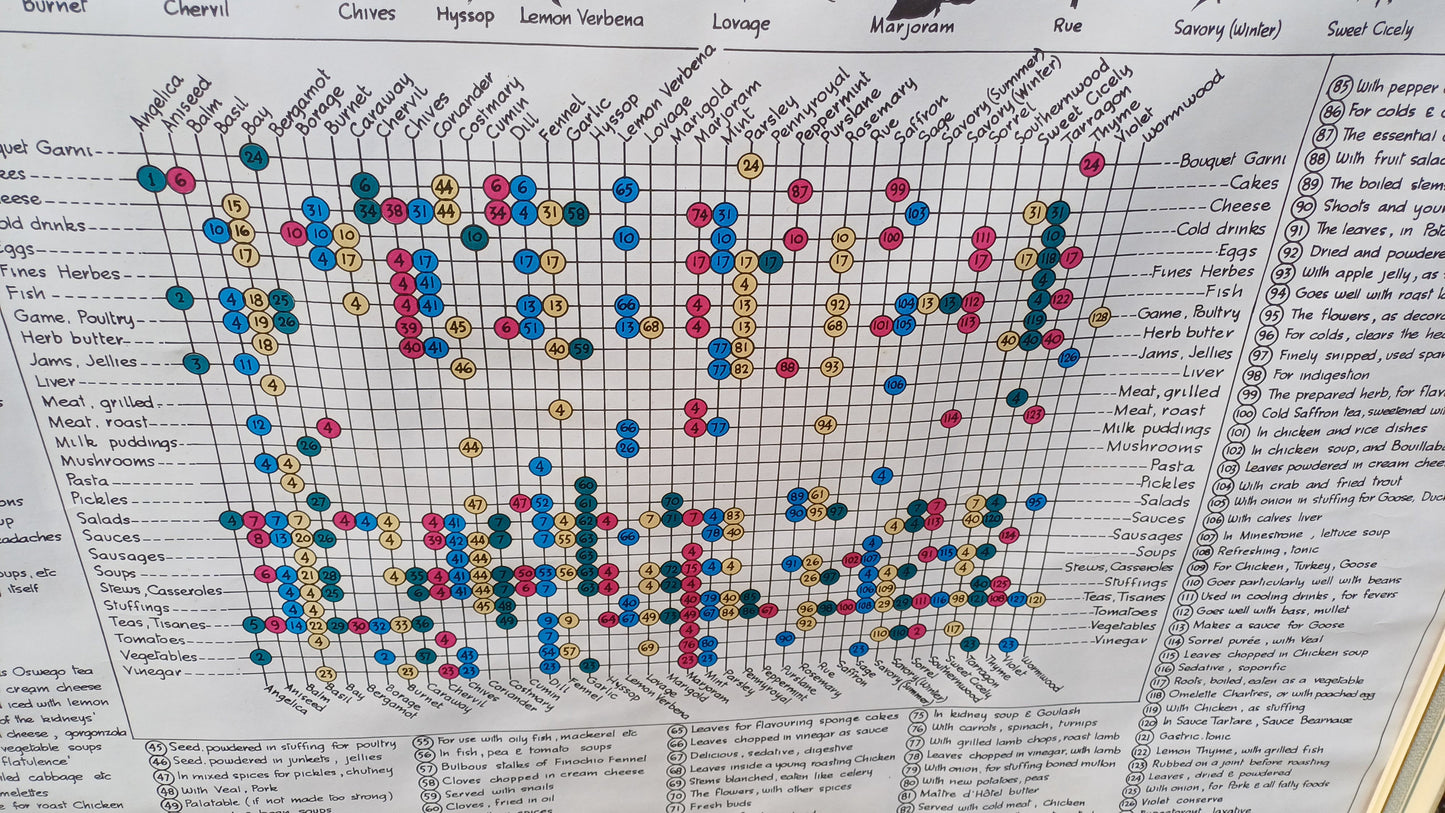 1960s Culinary Herb Chart - outstanding and useful - printed copy by H Dalton Clifford - very large 85.5cm x 62.5cm