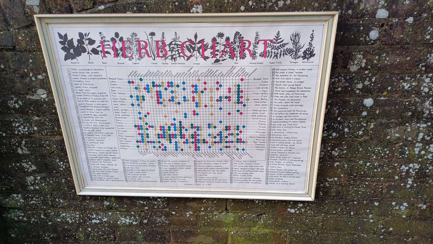 1960s Culinary Herb Chart - outstanding and useful - printed copy by H Dalton Clifford - very large 85.5cm x 62.5cm
