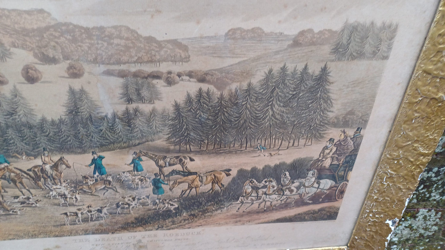 Antique aquatint "Death of the Roebuck" at Whatcombe House drawing by W.P. Hodges, engraving by M. Alken & R.C. Reeve pub McLean London 1834