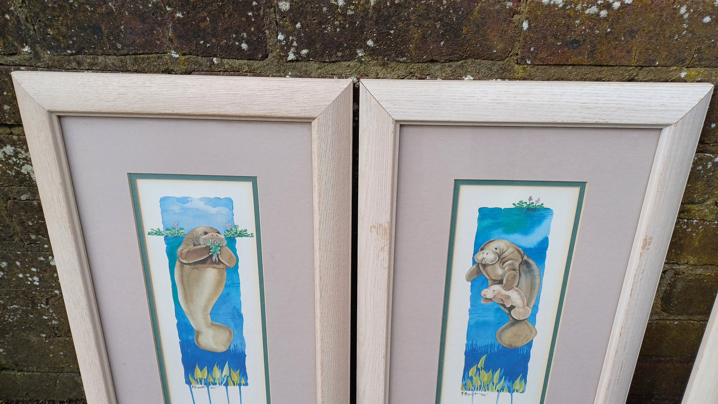 4 Sea Nautical Prints Sailing Seals 2 Pairs Wooden Frames. Paul Brent.