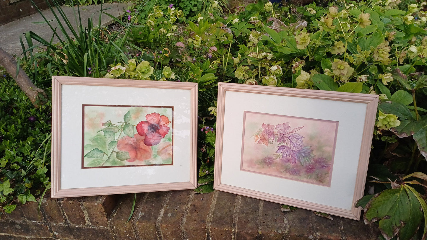 Stunning Pair of Original 1994 Watercolours Flower Floral Still Life Pink Frames Double Mounts. Professionally Framed. Pink Hues.