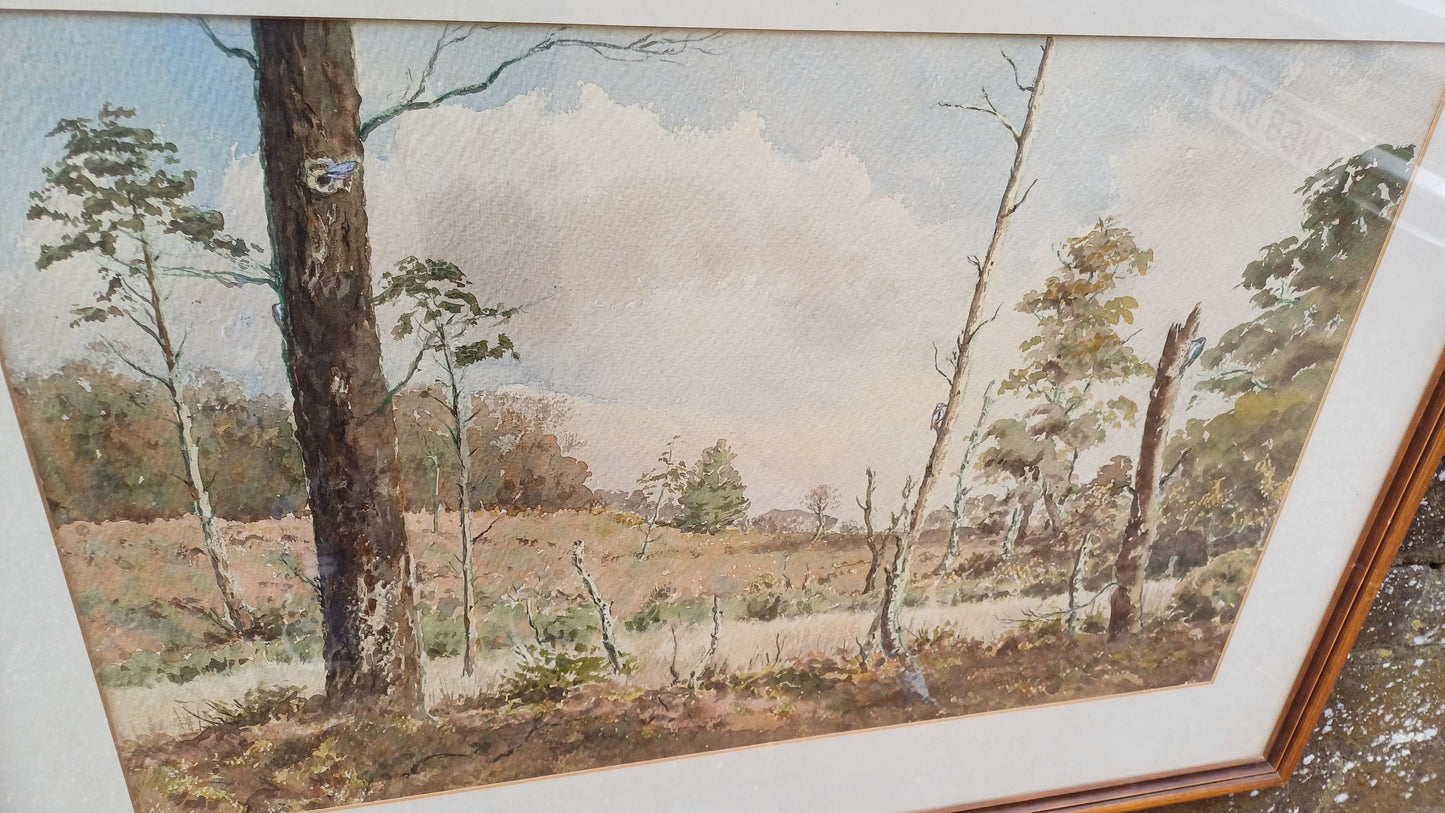 Large original vintage watercolour of a country scene, woodland, moorland, forest - Ashdown Forest possibly, cuckoos, mounted, glazed framed
