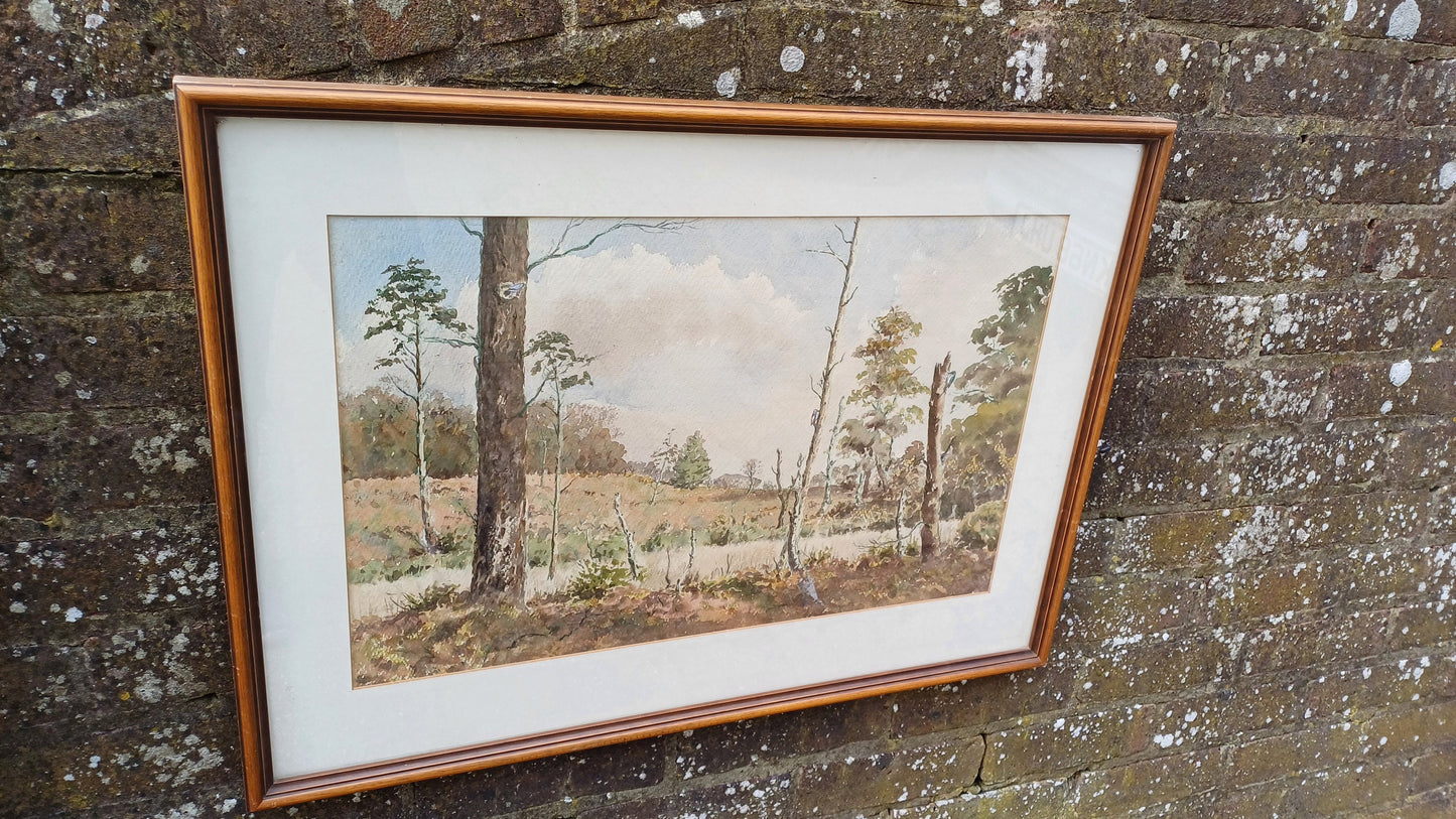 Large original vintage watercolour of a country scene, woodland, moorland, forest - Ashdown Forest possibly, cuckoos, mounted, glazed framed