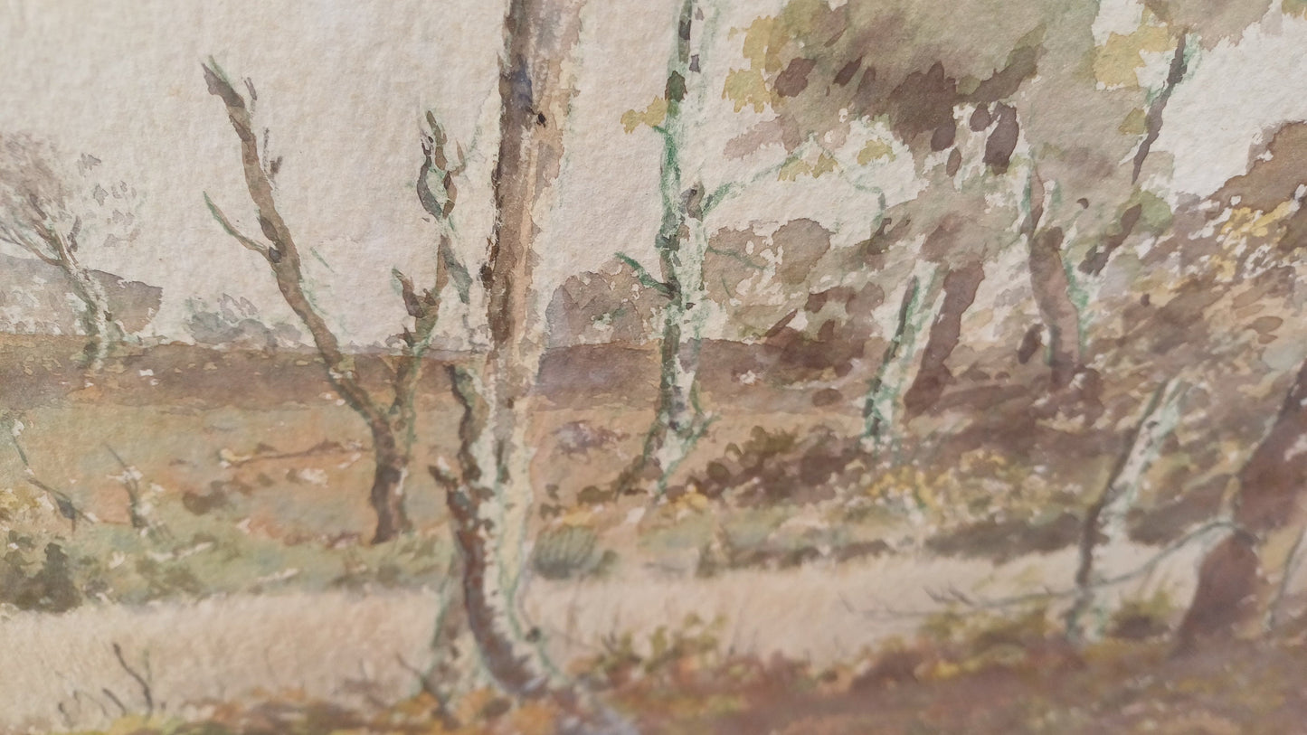 Large original vintage watercolour of a country scene, woodland, moorland, forest - Ashdown Forest possibly, cuckoos, mounted, glazed framed
