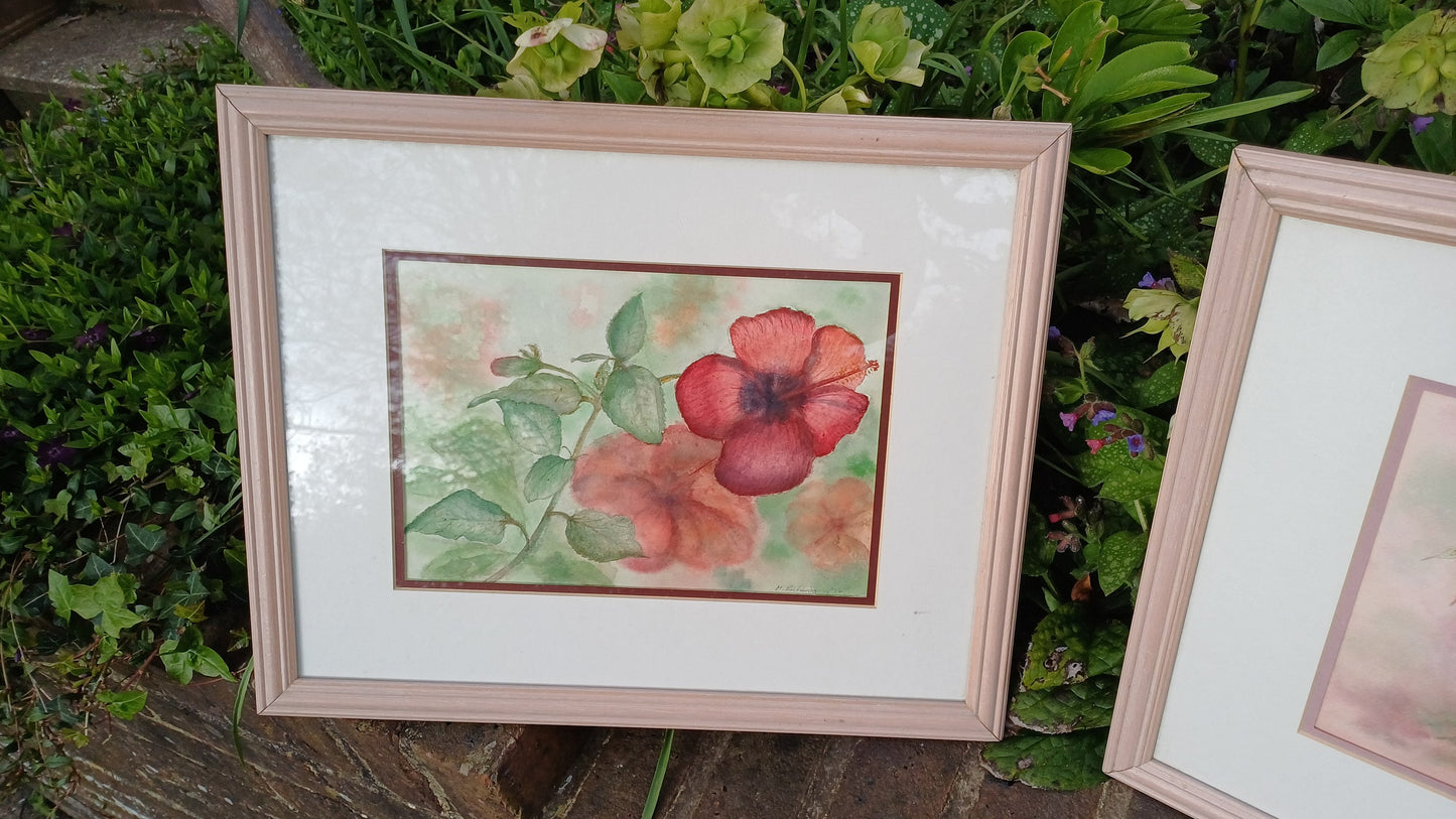 Stunning Pair of Original 1994 Watercolours Flower Floral Still Life Pink Frames Double Mounts. Professionally Framed. Pink Hues.