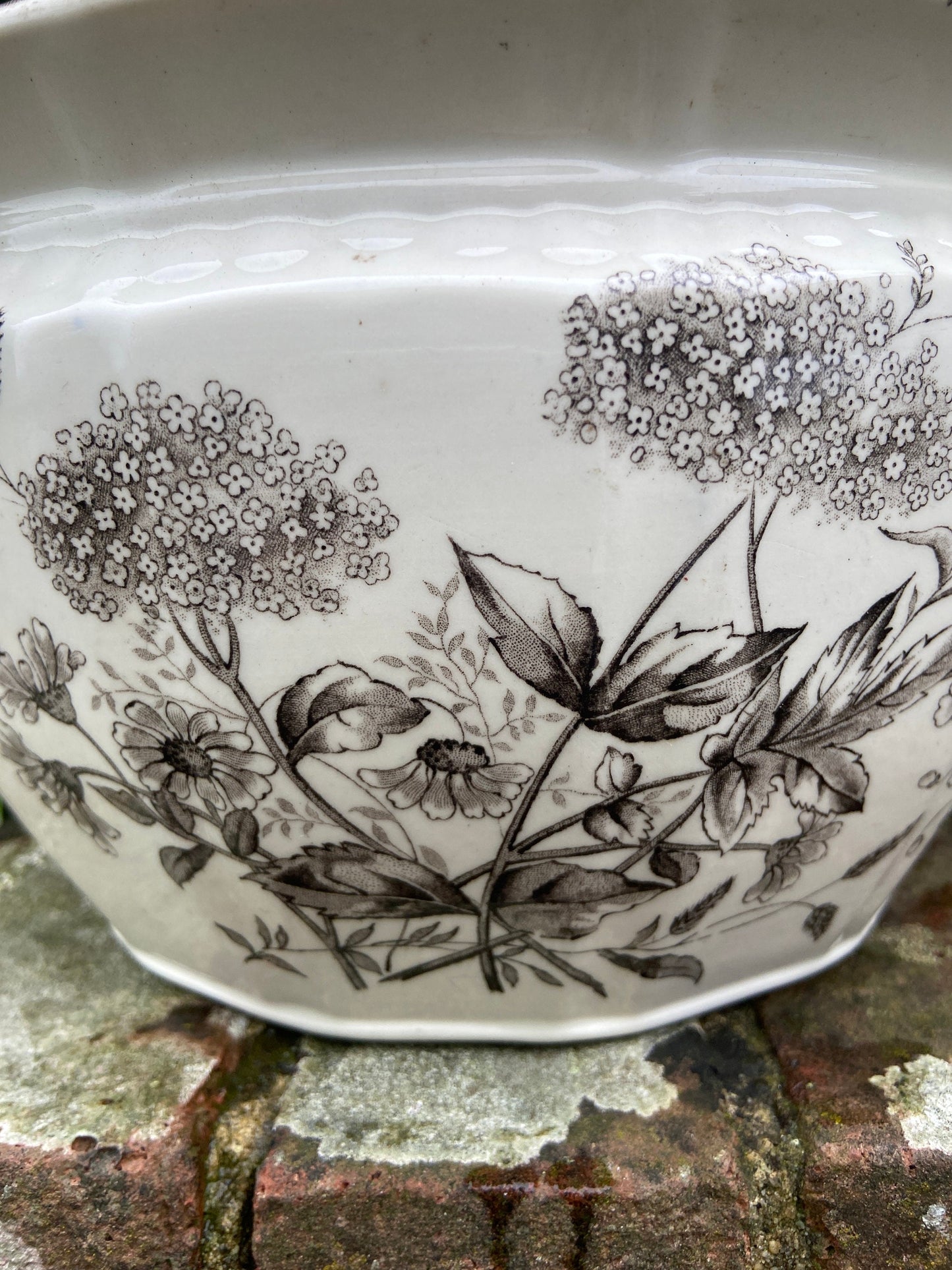 Vintage Black and White chamber pot indoor planter, plant pot, potty, plantpot - made by K & C, Meadow Sweet