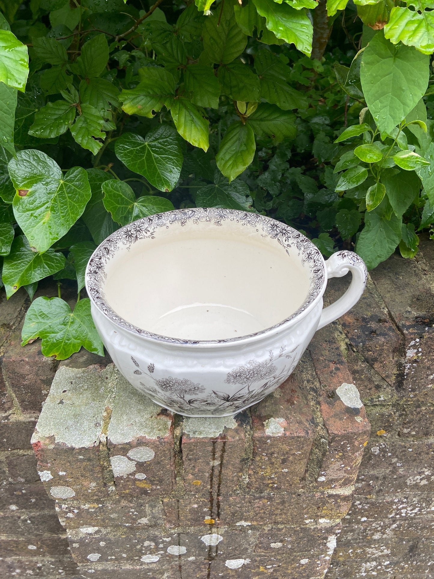 Vintage Black and White chamber pot indoor planter, plant pot, potty, plantpot - made by K & C, Meadow Sweet