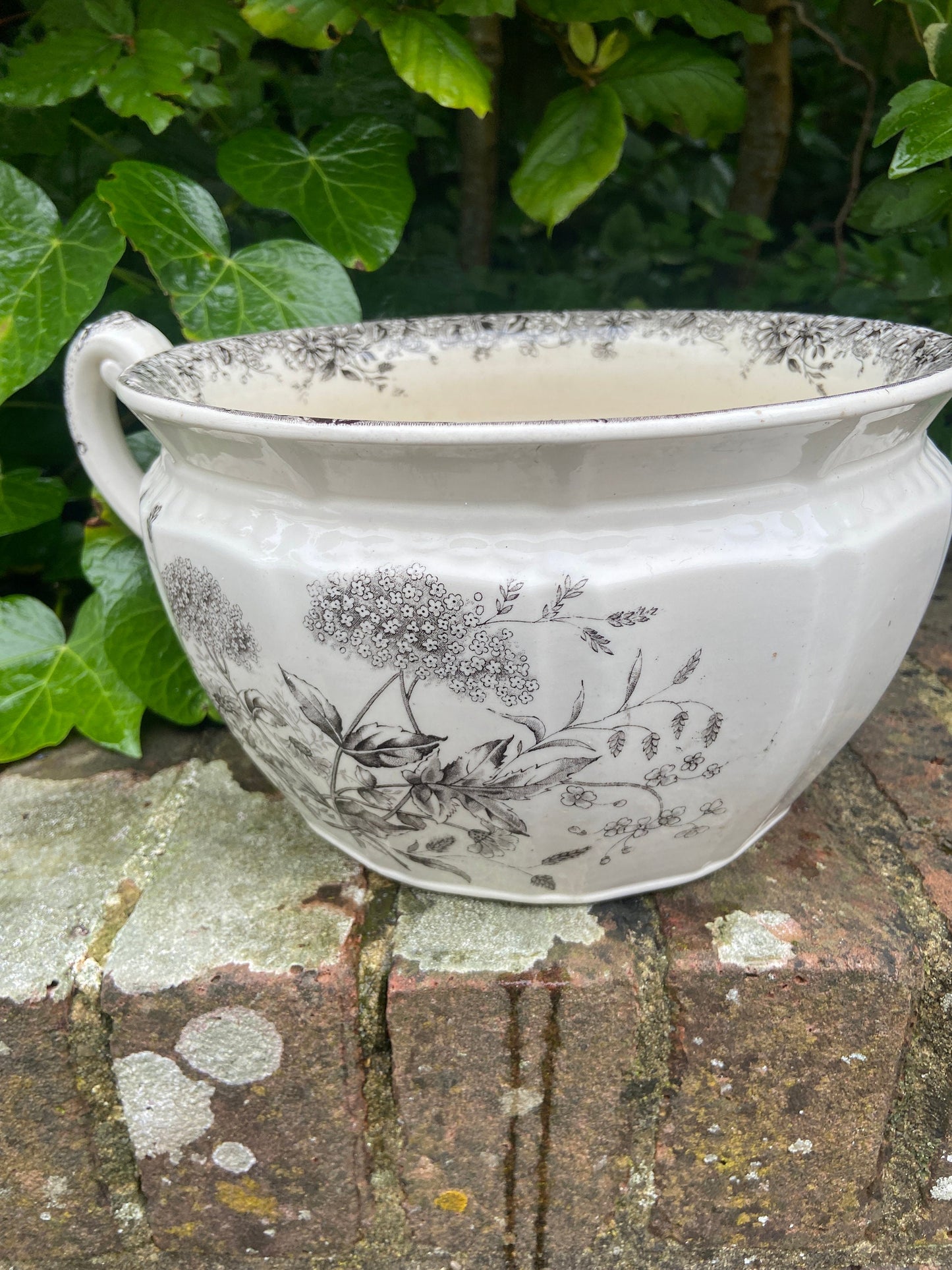 Vintage Black and White chamber pot indoor planter, plant pot, potty, plantpot - made by K & C, Meadow Sweet