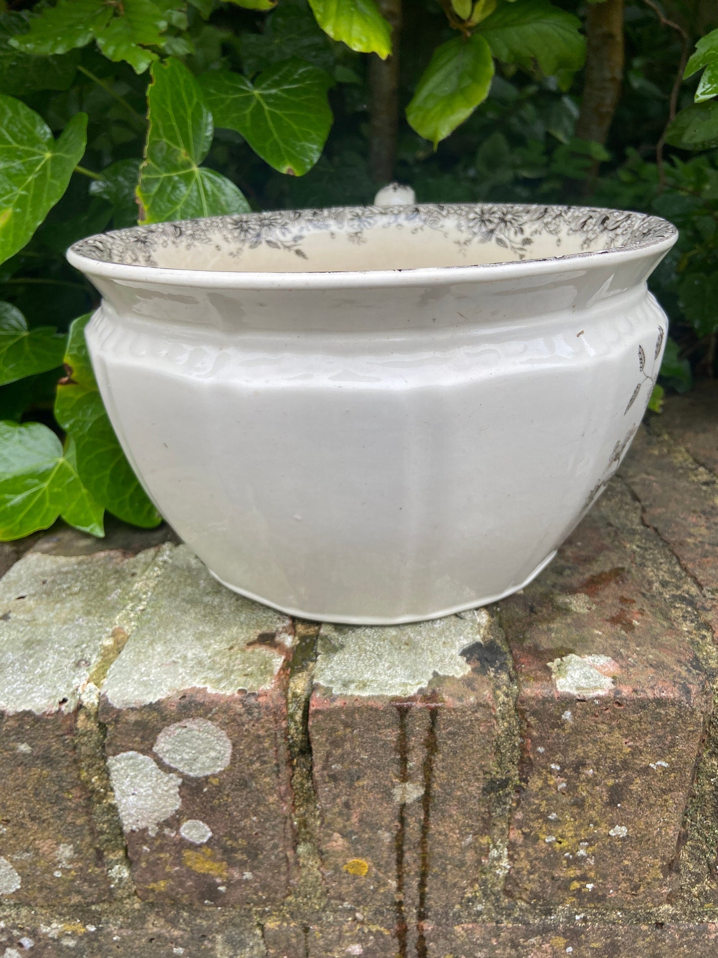 Vintage Black and White chamber pot indoor planter, plant pot, potty, plantpot - made by K & C, Meadow Sweet