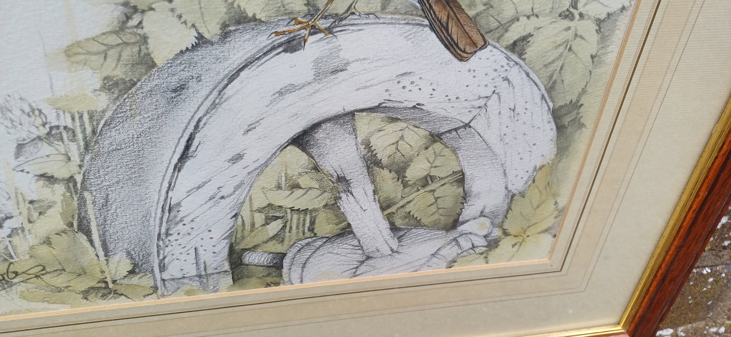 Delightful vintage painting and drawing by famous artist Ian Bowles - Robin and other birds - vintage art in glazed vintage frame