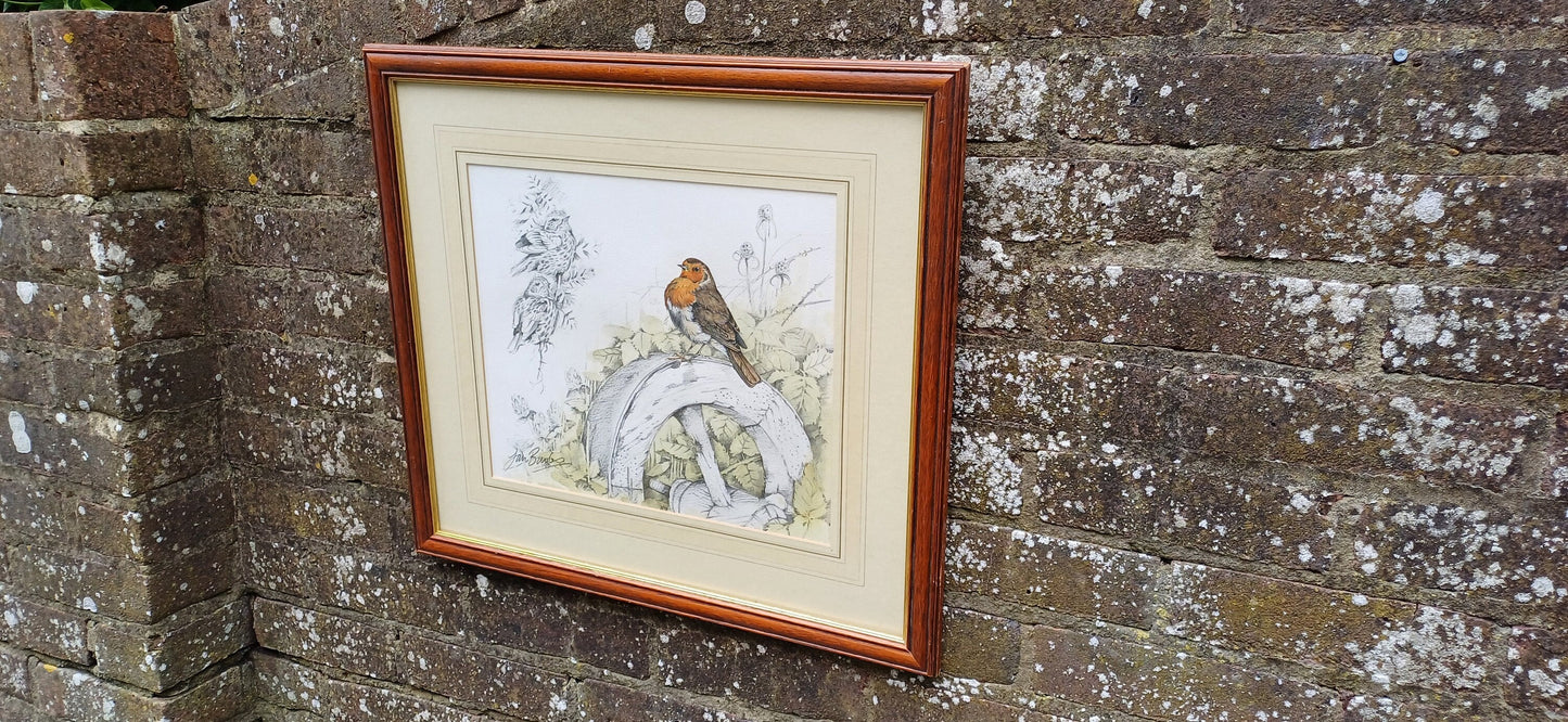 Ian BOwles sketch and watercolour of Robins and other birds.Stunning detailed depiction of birds. Delightful picture in glazed frame, ready to hang.