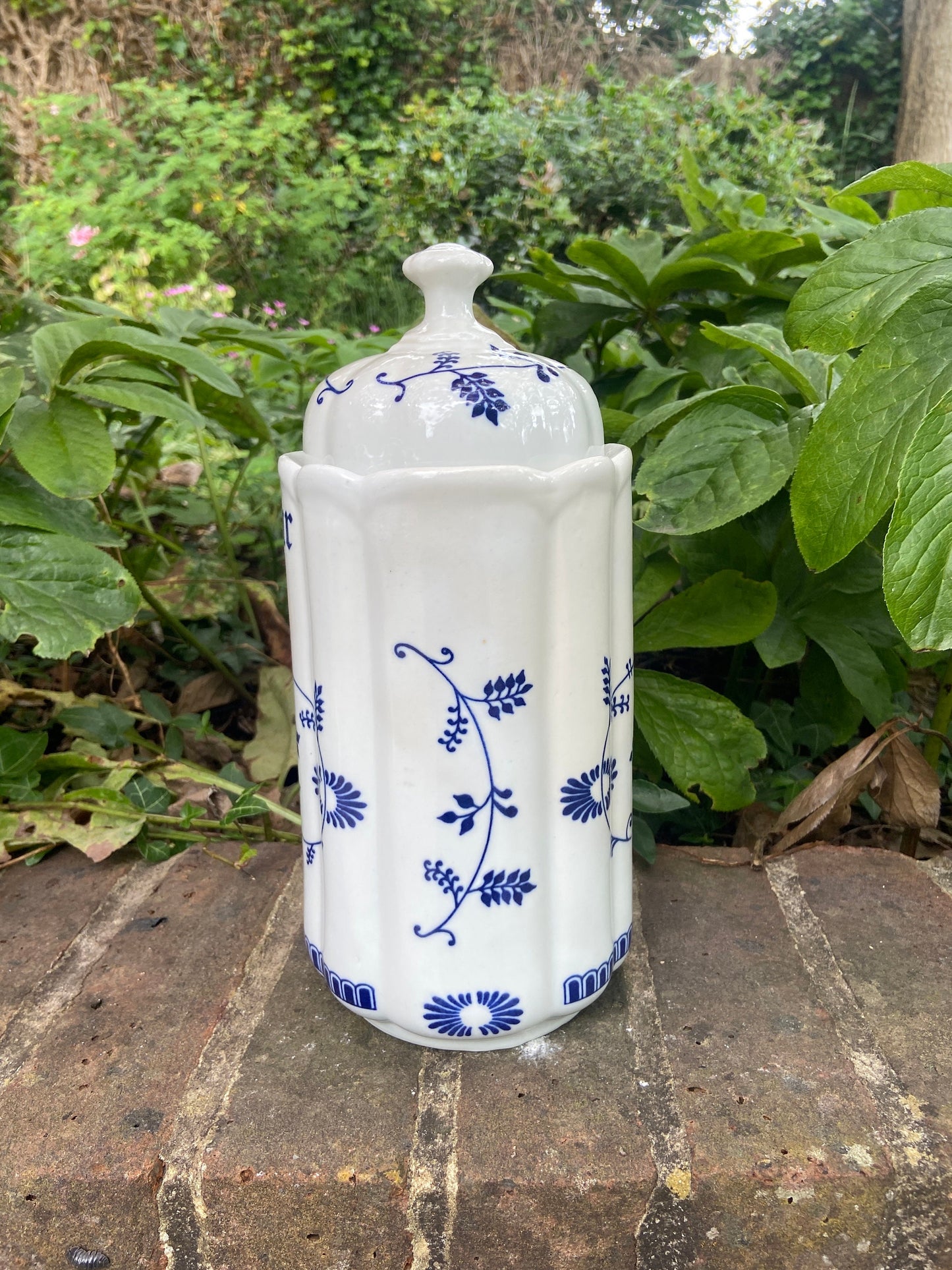 Mid Century TC Blue Onion German Pottery - Storage Jar, tall, Flour, all purpose, Blue and White storage canister 1950s, VGC