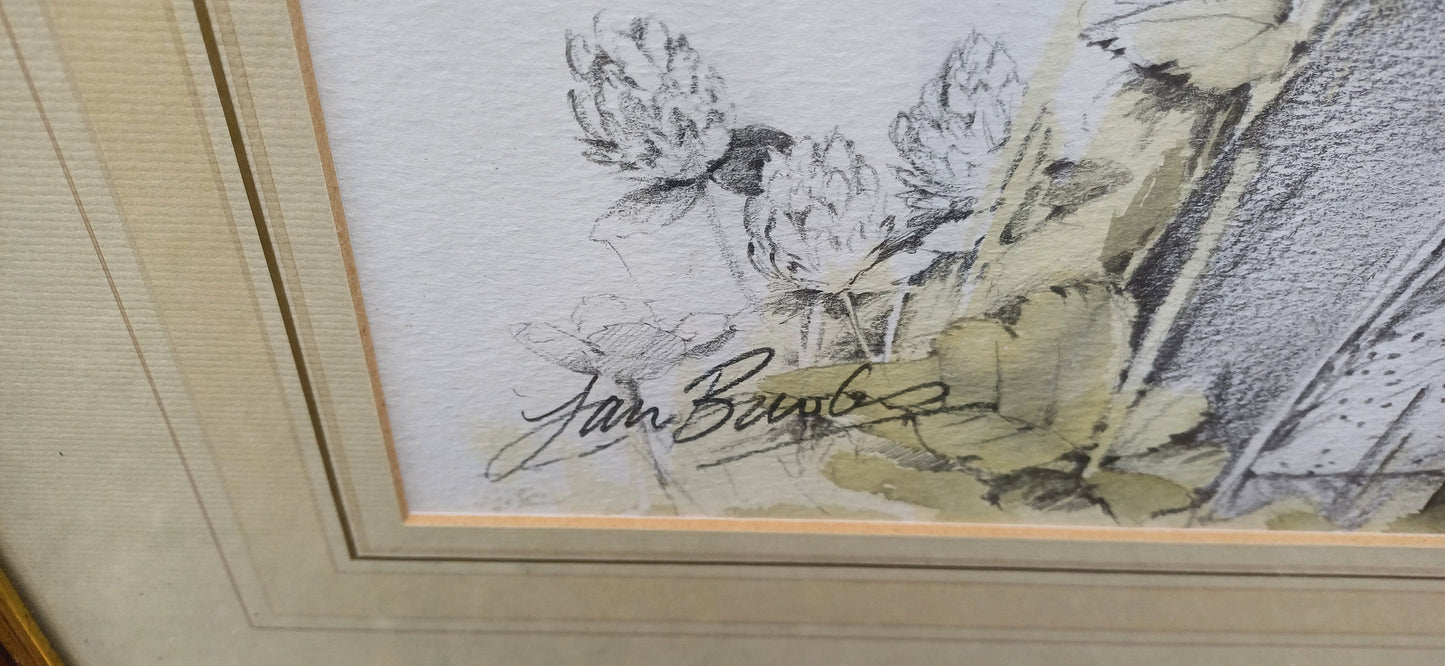 Delightful vintage painting and drawing by famous artist Ian Bowles - Robin and other birds - vintage art in glazed vintage frame