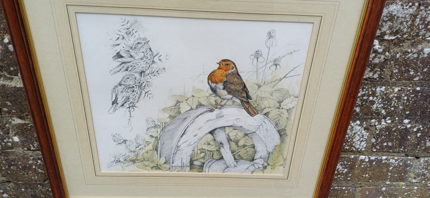 Delightful vintage painting and drawing by famous artist Ian Bowles - Robin and other birds - vintage art in glazed vintage frame