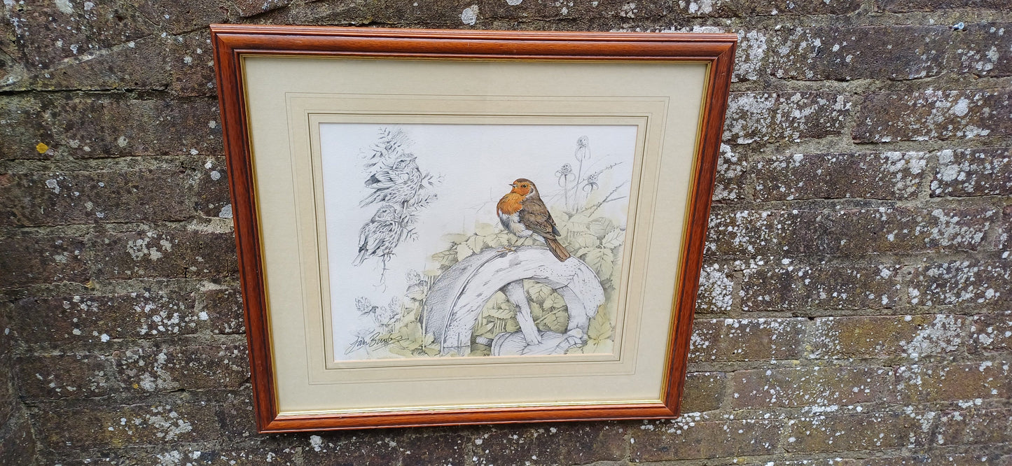 Delightful vintage painting and drawing by famous artist Ian Bowles - Robin and other birds - vintage art in glazed vintage frame