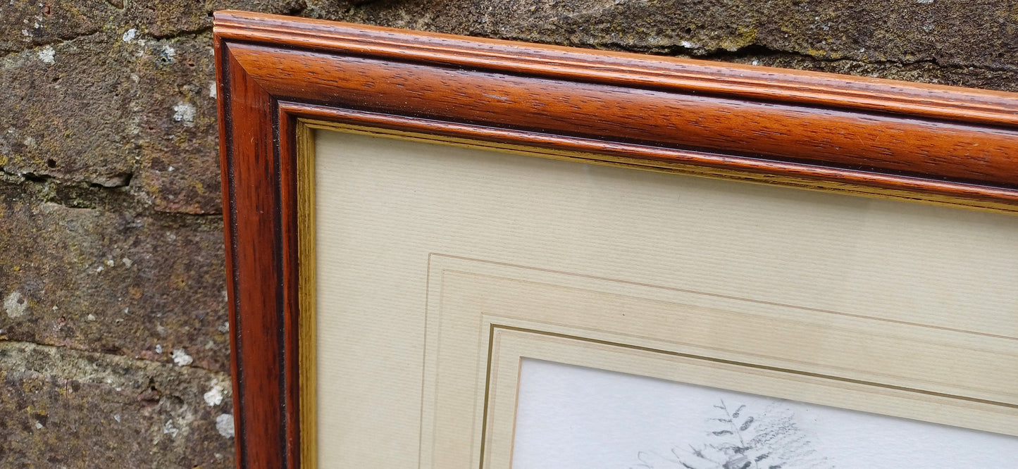 Delightful vintage painting and drawing by famous artist Ian Bowles - Robin and other birds - vintage art in glazed vintage frame