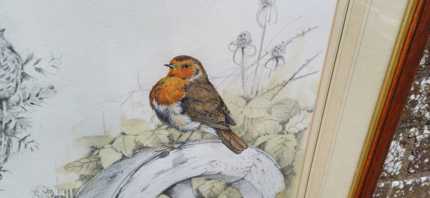 Delightful vintage painting and drawing by famous artist Ian Bowles - Robin and other birds - vintage art in glazed vintage frame