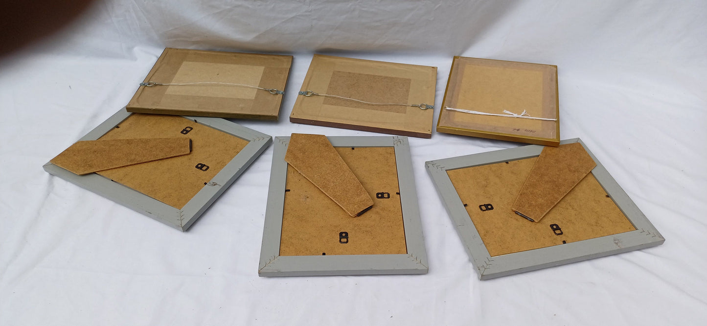 6 Collection of Vintage Pictures Picture Frames Framing Glazed with Frame Photo Artist Upcycling Project. Colin Page Photograph. Birds