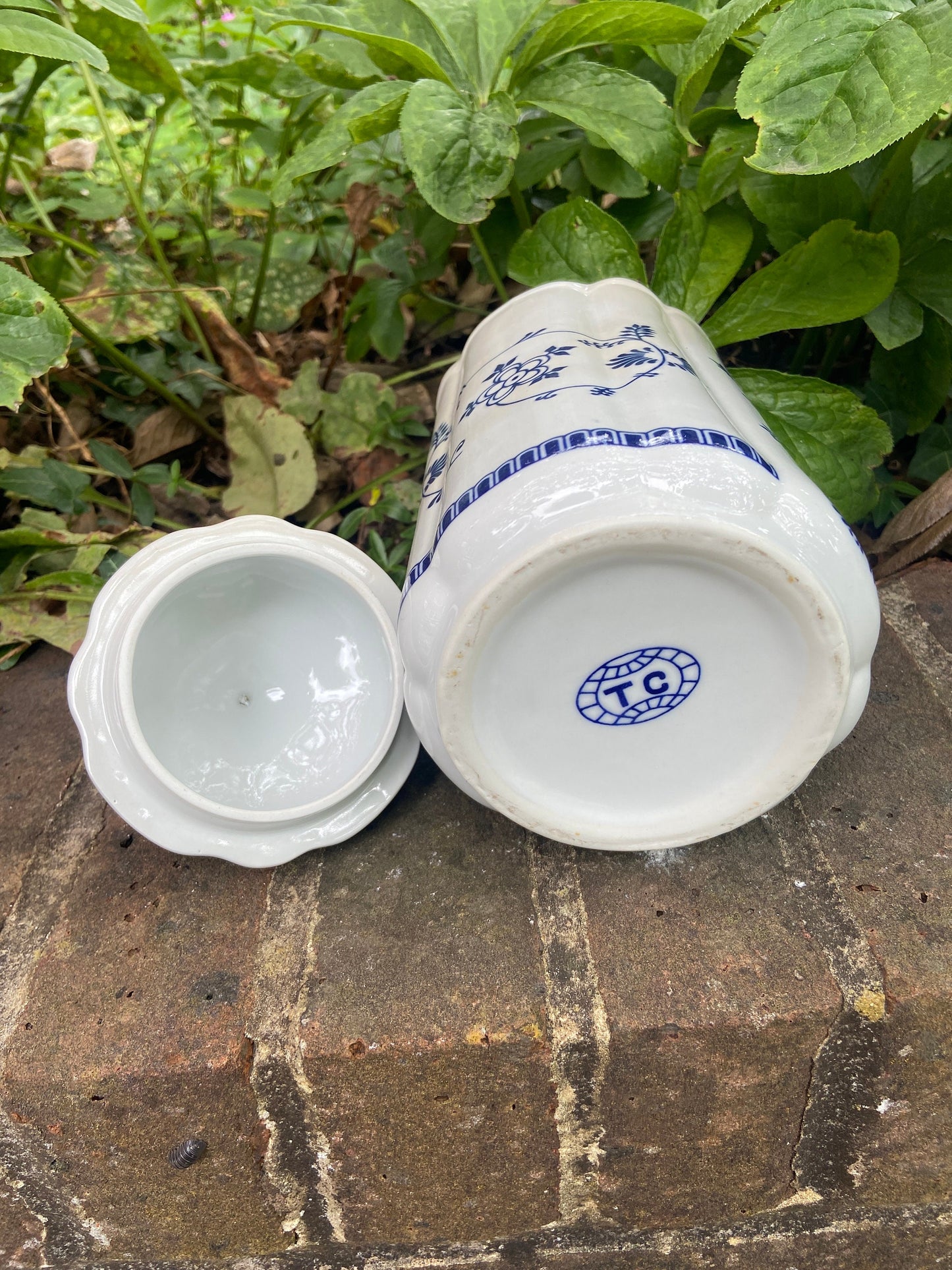 Mid Century TC Blue Onion German Pottery - Storage Jar, tall, Flour, all purpose, Blue and White storage canister 1950s, VGC