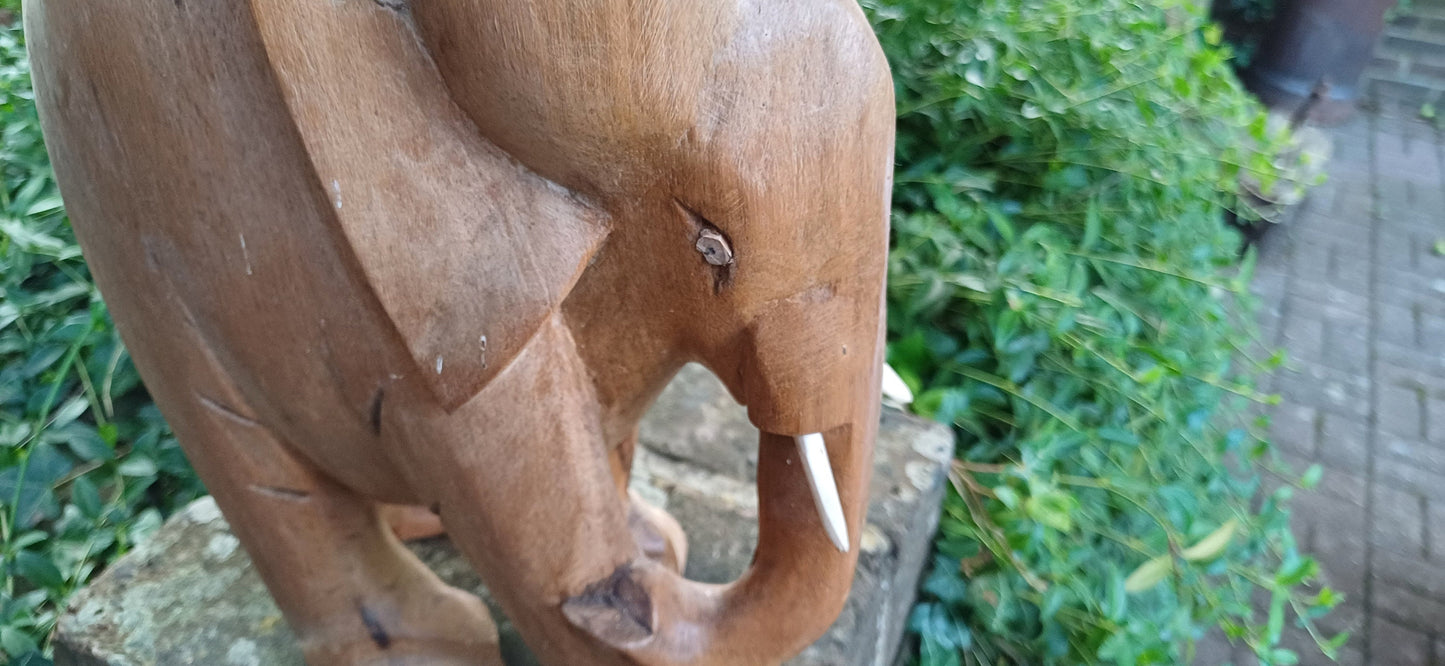 Superb Large Hand Carved Hardwood Elephant with Intact Tusks African Art