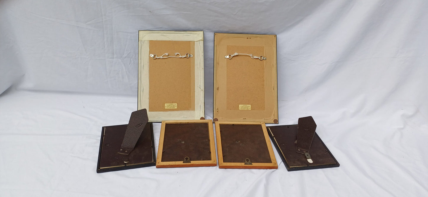 Three Pairs Collection of Vintage Pictures Picture Frames Framing Glazed with Boarded Backings Frame Artist.Teddies Owl Donkey and Cats.